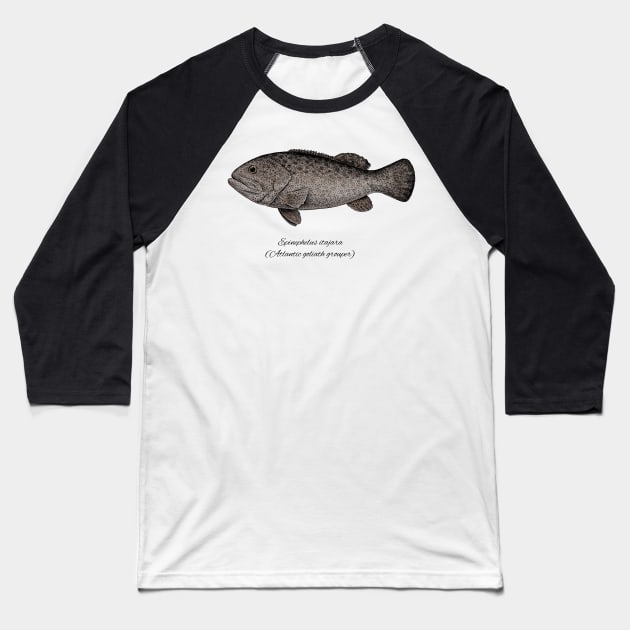 EPINEPHELUS ITAJARA Baseball T-Shirt by eugeniahauss